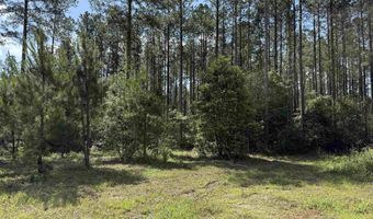 8450 Robinsonville Rd, Atmore, AL 36502