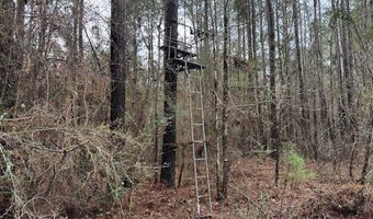 920 A Auburn Dr, Bogue Chitto, MS 39629