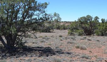 N8604 1, Concho, AZ 85924