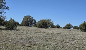 Ten Tanks Rd lot 6, Ash Fork, AZ 86320