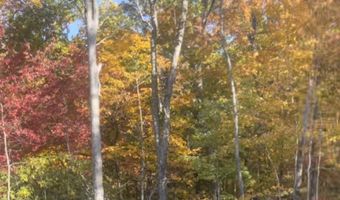 Lot 24 Cahill Dr, Andrews, NC 28901