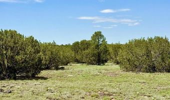 83 County Rd. 8128, Concho, AZ 85924