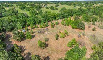 Hwy 69, Alba, TX 75410