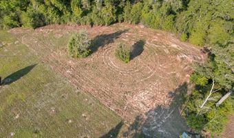 0 Bruner Pond Rd, Ashford, AL 36312