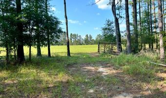 8645 Moores Mill Creek Rd, Baker, FL 32531