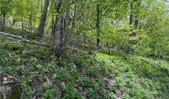 6 Wakeman Way, Banner Elk, NC 28604