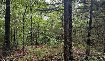 Lot 7 Block 5 Banff DR, Bella Vista, AR 72715