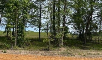 Maddox Court, Arkadelphia, AR 71923