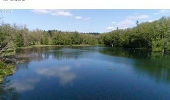 15116 NE GRANTHAM Rd, Amboy, WA 98601
