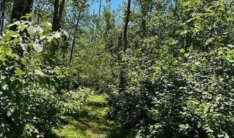 Lot 16 Hartley Shores Road, Bottineau, ND 58318