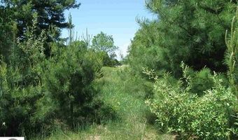 Alden Meadows lot 33, Alden, MI 49612