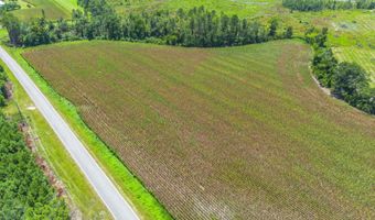 596 Teakwood Rd, Alma, GA 31510