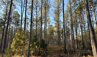 Highway 28, Abbeville, SC 29620