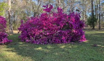 24415 NW 90TH Pl, Alachua, FL 32615