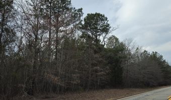0 HWY 220, Lincolnton, GA 30817