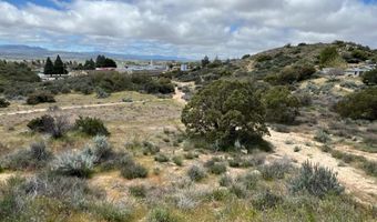 56735 Cain Rd, Anza, CA 92539