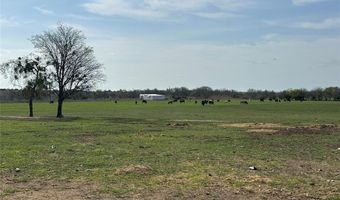 1385 W Fm 219, Hico, TX 76457