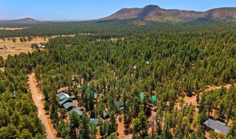 26 County Road 2067, Alpine, AZ 85920