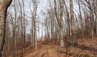 Route 12 Road, Alum Creek, WV 25003