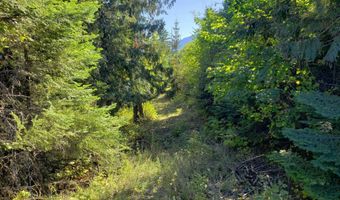 18 Majestic Mountain Rd, Clark Fork, ID 83811