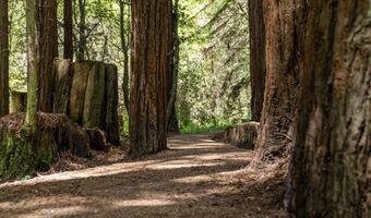 794 Cathedral Dr, Aptos, CA 95003