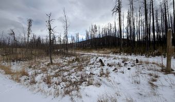 2025 Granite Rd, Bellvue, CO 80512