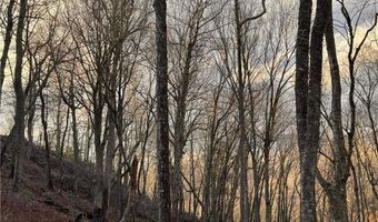 Snow Ridge Road lot 39 And 40, Banner Elk, NC 28604