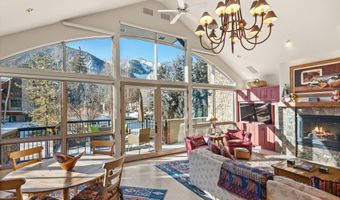 990 E Hopkins Ave, Aspen, CO 81611