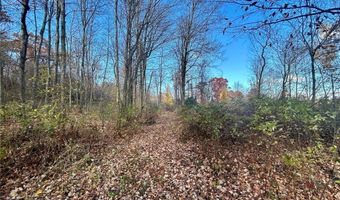 Tbd 125th Street, Alden, WI 54001