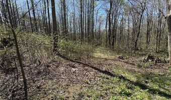 Tbd Katie Lane, Bakersville, NC 28705