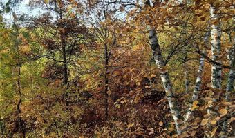 31538 County 23, Akeley, MN 56433