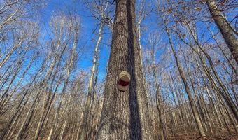 33056 Weaver Church Rd, Albany, OH 45710