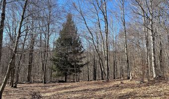 L22.2 Alder Pond Road, Andes, NY 13740