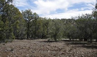 918 Wolf Rd, Ash Fork, AZ 86320