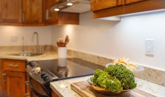 725 E Main St 309, Aspen, CO 81611