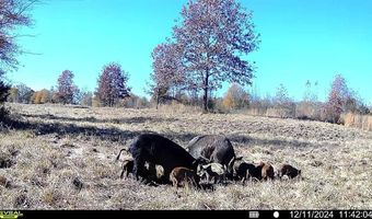 120 CR 4316 Rd, De Kalb, TX 75559