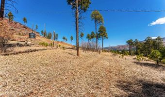 103 Pine Dr, Bayfield, CO 81122
