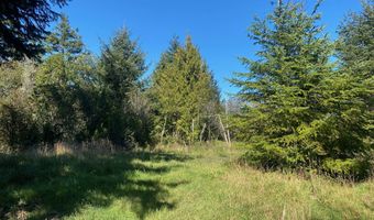 Bill Creek Ln, Bandon, OR 97411