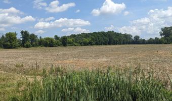 Romeo Plank Road, Armada, MI 48005