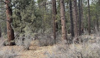Bufflehead Drive TL 10, Bonanza, OR 97623
