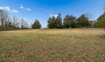 123 Walnut Hill Rd, Bells, TN 38006