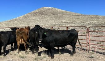 Costilla County Parcel # 400022, Blanca, CO 81123