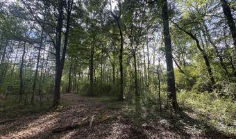 1311 N Jackson St, Brookhaven, MS 39601