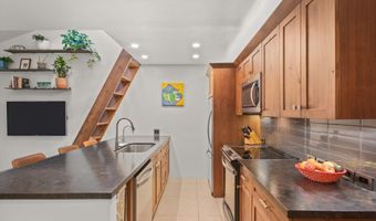 910 W Hallam St 11, Aspen, CO 81611