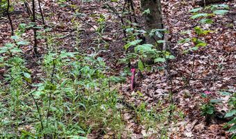 Moberg Rd lot 76, Becket, MA 01223