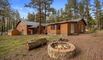11 Whitetail Rd, Alpine, AZ 85920