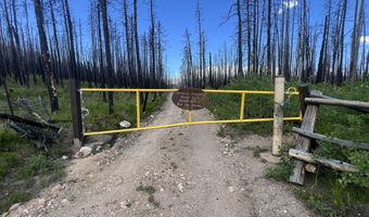 2493 Greer Rd, Bellvue, CO 80512