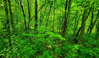 4376 VT-22A, Bridport, VT 05734