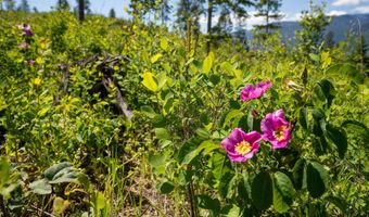 NNA This Way, Bonners Ferry, ID 83805