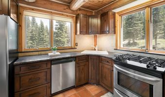 496 Hamilton Ln, Breckenridge, CO 80424